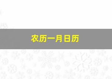 农历一月日历