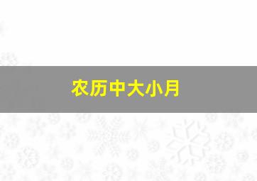 农历中大小月