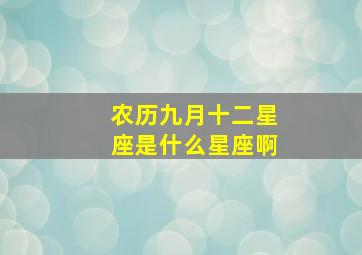 农历九月十二星座是什么星座啊