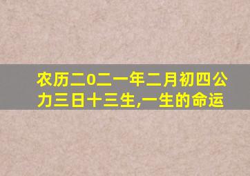 农历二0二一年二月初四公力三日十三生,一生的命运