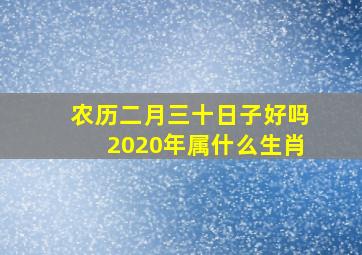 农历二月三十日子好吗2020年属什么生肖