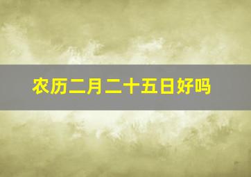 农历二月二十五日好吗