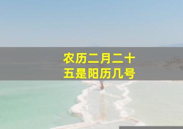 农历二月二十五是阳历几号