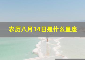 农历八月14日是什么星座