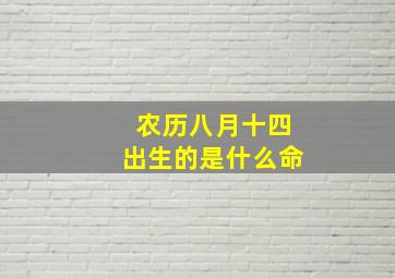 农历八月十四出生的是什么命