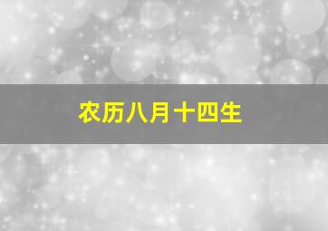 农历八月十四生