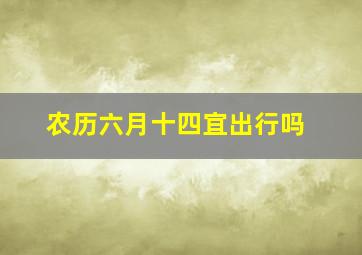 农历六月十四宜出行吗