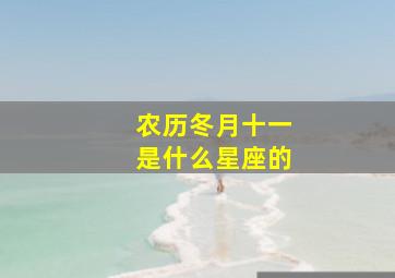 农历冬月十一是什么星座的