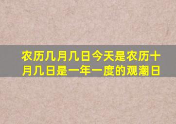 农历几月几日今天是农历十月几日是一年一度的观潮日