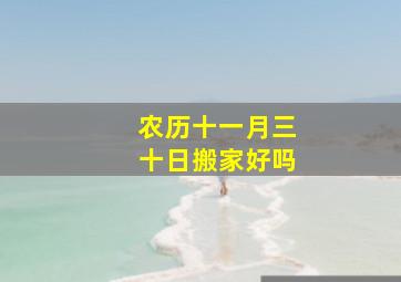 农历十一月三十日搬家好吗