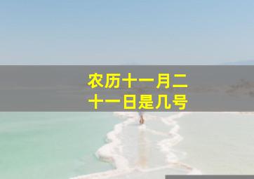 农历十一月二十一日是几号