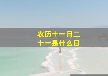 农历十一月二十一是什么日