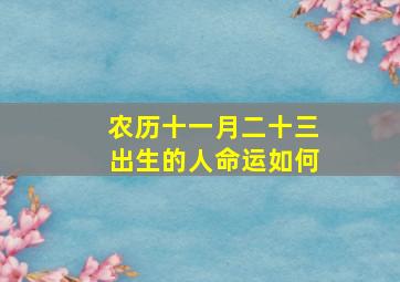 农历十一月二十三出生的人命运如何