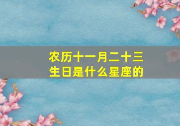 农历十一月二十三生日是什么星座的