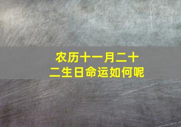 农历十一月二十二生日命运如何呢