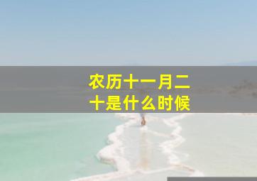 农历十一月二十是什么时候