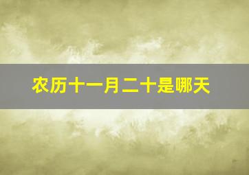 农历十一月二十是哪天