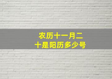 农历十一月二十是阳历多少号