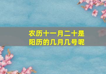 农历十一月二十是阳历的几月几号呢