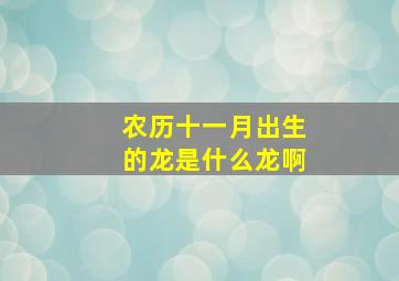 农历十一月出生的龙是什么龙啊