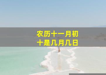 农历十一月初十是几月几日