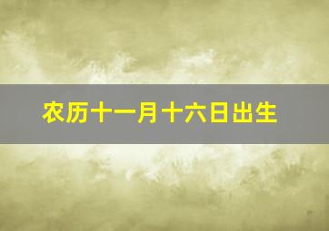 农历十一月十六日出生