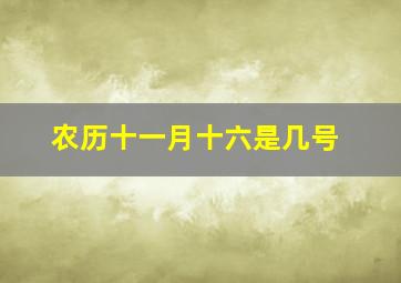 农历十一月十六是几号