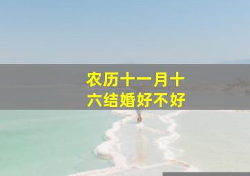 农历十一月十六结婚好不好