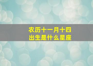 农历十一月十四出生是什么星座