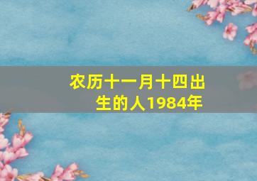 农历十一月十四出生的人1984年