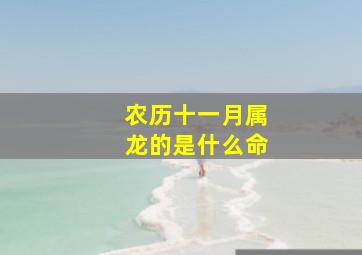 农历十一月属龙的是什么命