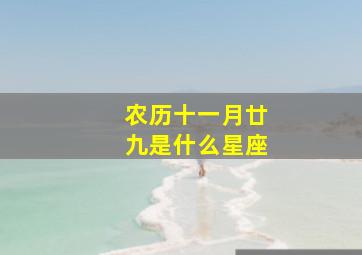 农历十一月廿九是什么星座