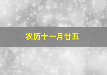 农历十一月廿五