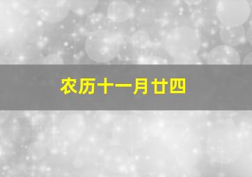 农历十一月廿四