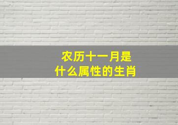 农历十一月是什么属性的生肖