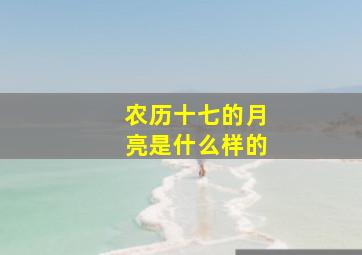 农历十七的月亮是什么样的