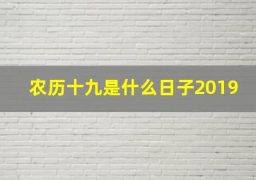 农历十九是什么日子2019