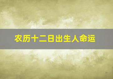 农历十二日出生人命运