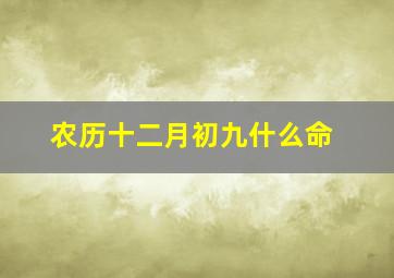 农历十二月初九什么命