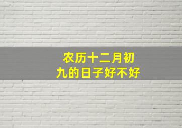 农历十二月初九的日子好不好