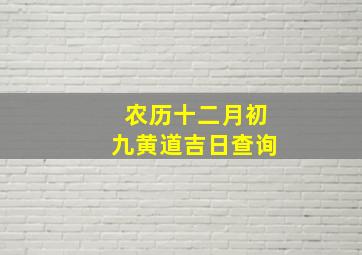 农历十二月初九黄道吉日查询