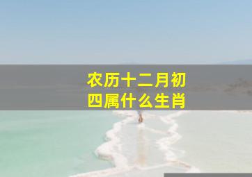 农历十二月初四属什么生肖