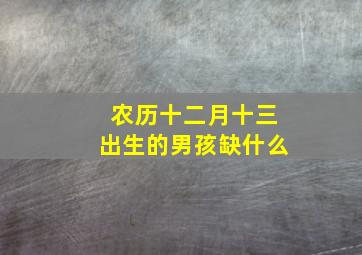 农历十二月十三出生的男孩缺什么