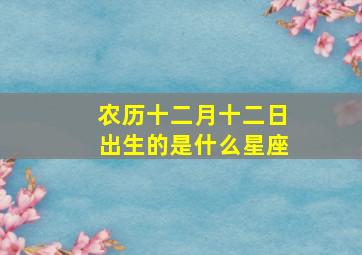 农历十二月十二日出生的是什么星座