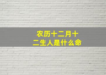 农历十二月十二生人是什么命