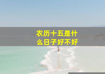 农历十五是什么日子好不好