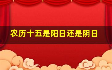 农历十五是阳日还是阴日