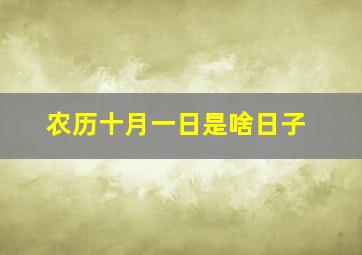 农历十月一日是啥日子