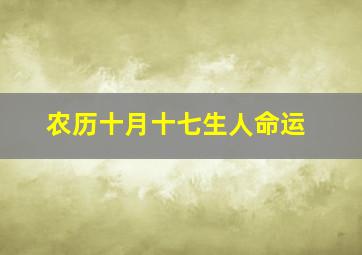 农历十月十七生人命运