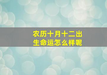 农历十月十二出生命运怎么样呢